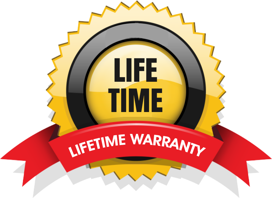 lifetime-business solution-softsheba
